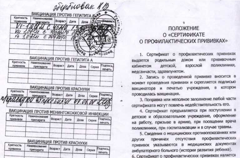 Грязнова Виктория Александровна — сертификат 25